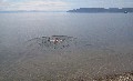 Нажмите чтобы увеличить