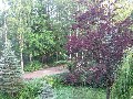 Нажмите чтобы увеличить