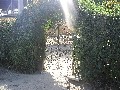 Нажмите чтобы увеличить