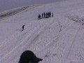 Нажмите чтобы увеличить