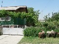 Нажмите чтобы увеличить