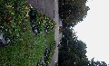 Нажмите чтобы увеличить