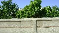 Нажмите чтобы увеличить