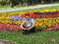 Нажмите чтобы увеличить